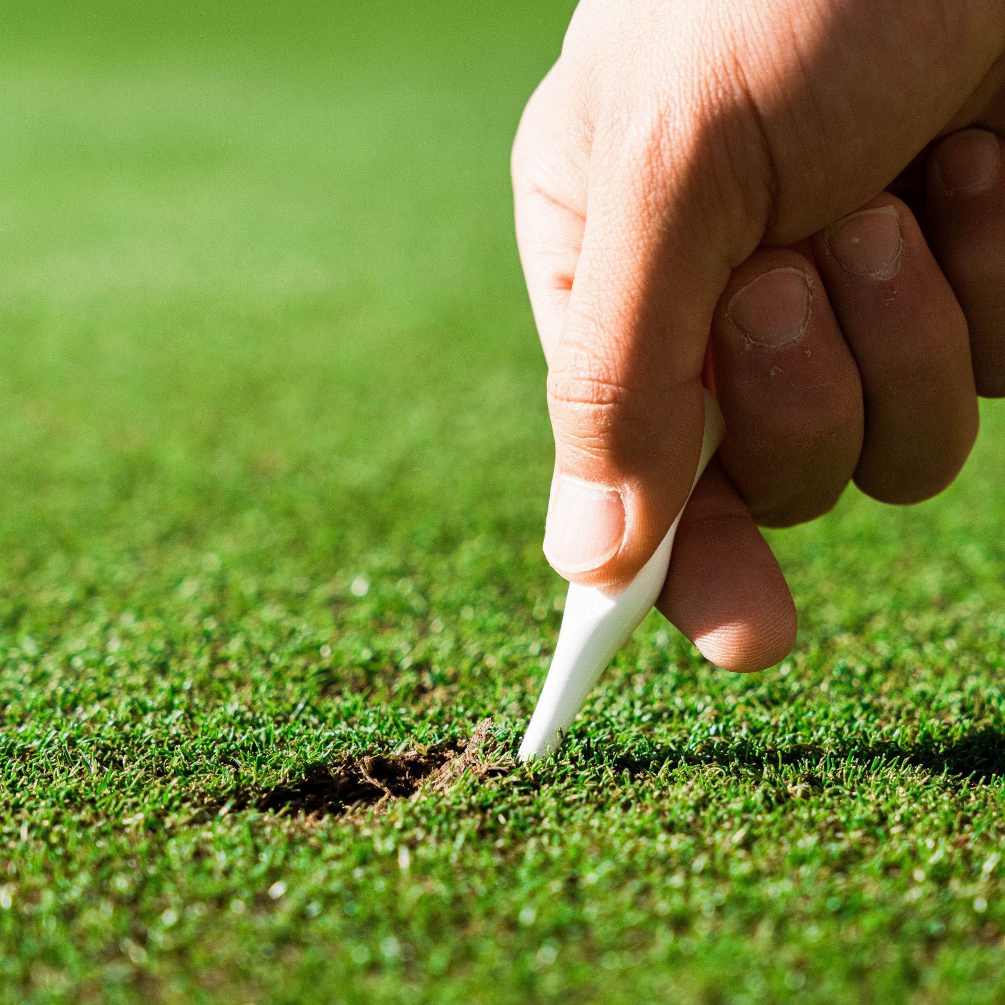 Hand placing a golf tee into the grass on a golf course