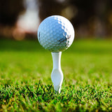 Golf ball on a tee in the grass with a blurred background